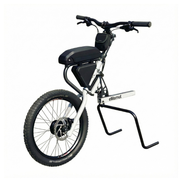 Hand Bike electrica