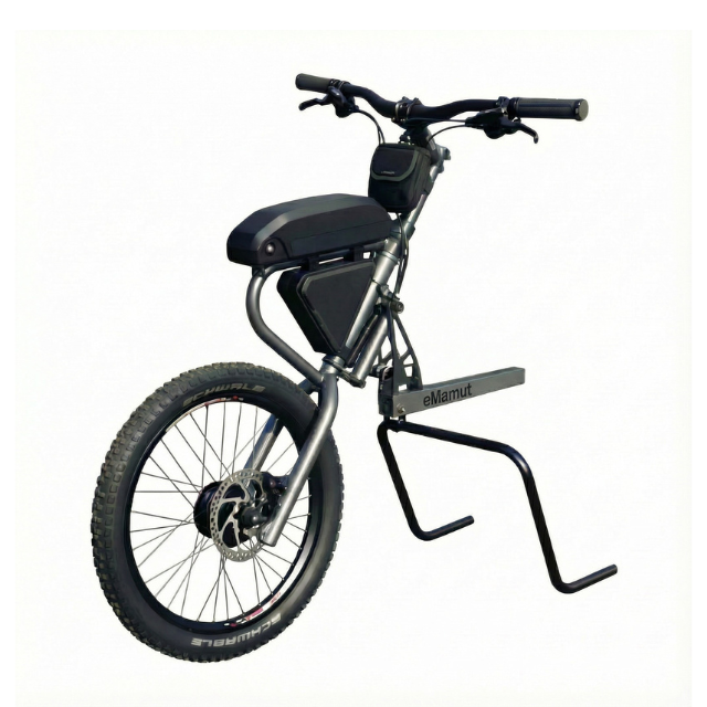 motor para silla de ruedas argentina